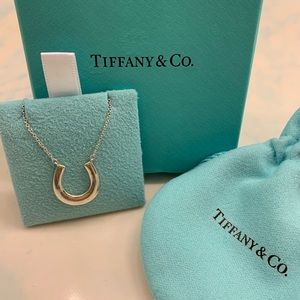 💖 Tiffany & Co. 1837 horseshoe pendant 🎁